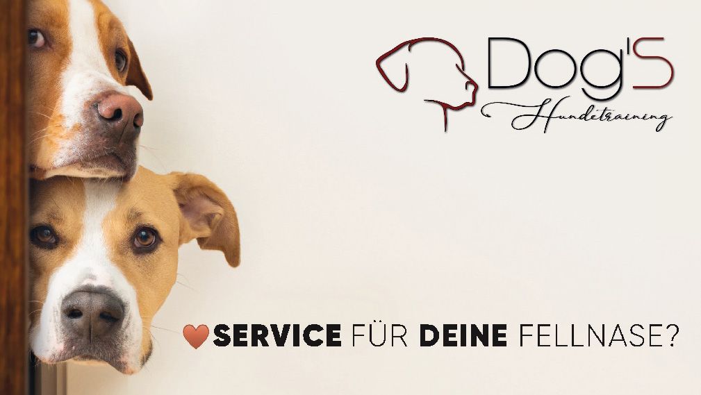 Partner: Dogshundetraining